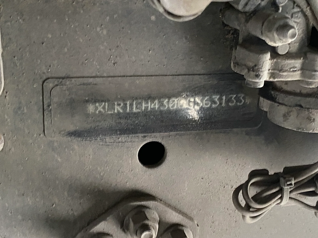 XLRTEH4300G363133-11-Medium