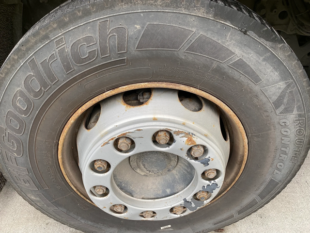 XLRTEH4300G363133-13-Medium