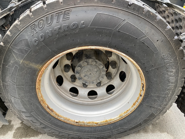 XLRTEH4300G363133-19-Medium